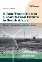 A Just Transition to a Low Carbon Future in South Africa