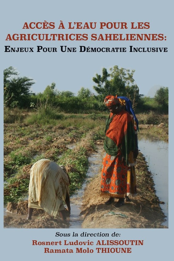 Accès À L'eau Pour Les Agricultrices Saheliennes