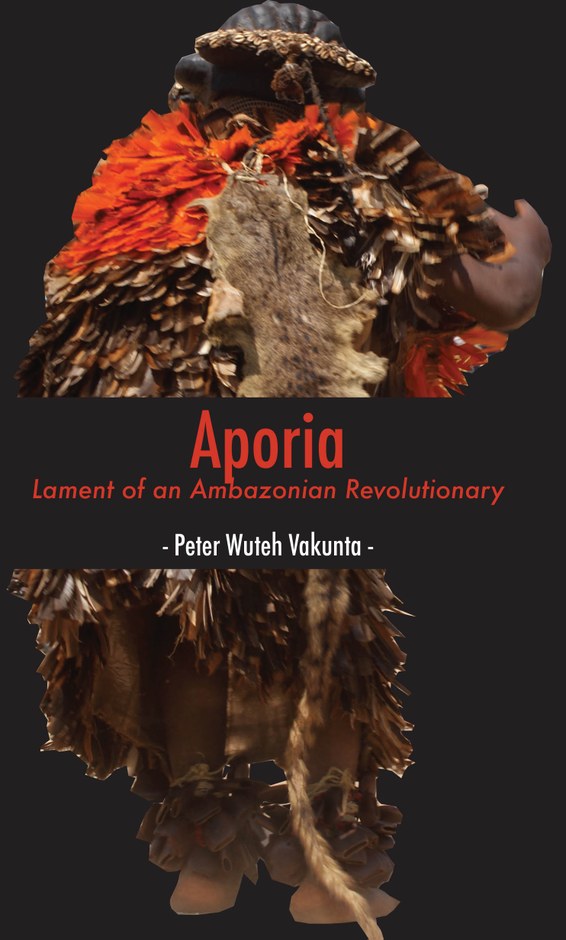 Aporia: Lament of an Ambazonian Revolutionary