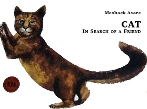 Cat in Search of a Friend