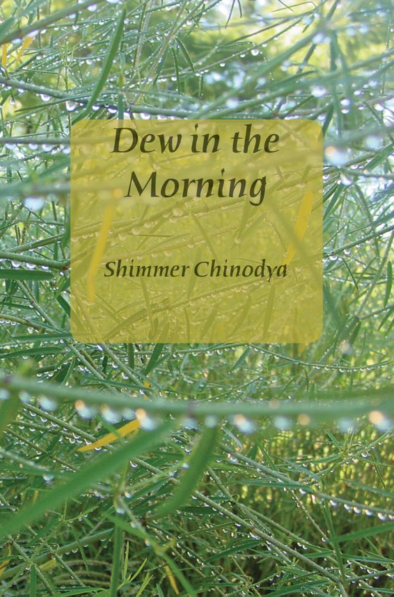 Dew in the Morning