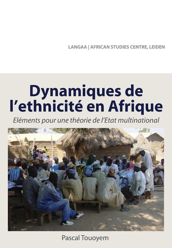 Dynamiques de l ethnicite en Afrique