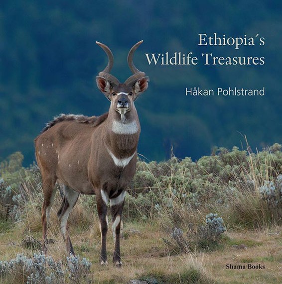 Ethiopia's Wildlife Treasures