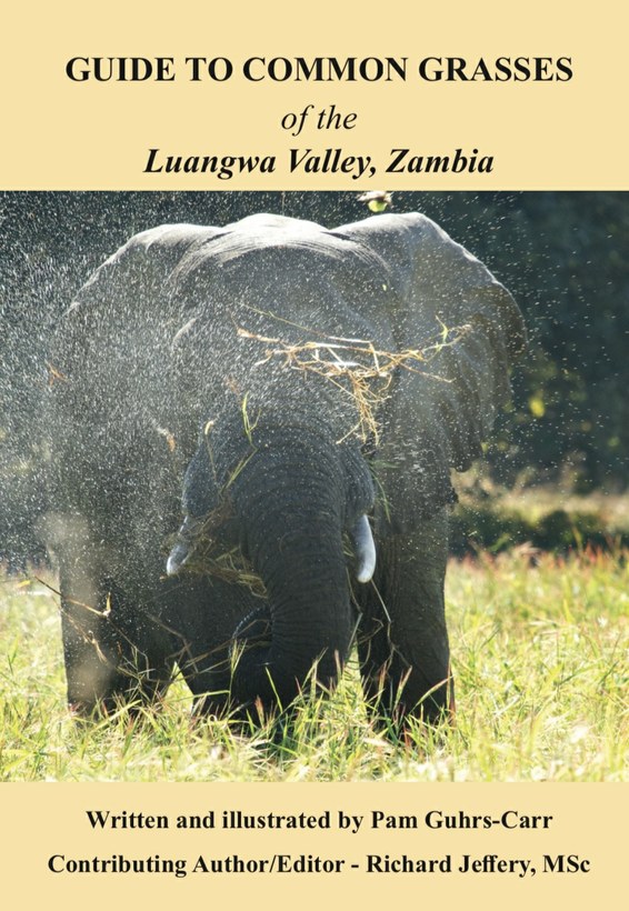 Guide to Common Grasses of the Luangwa Valley, Zambia