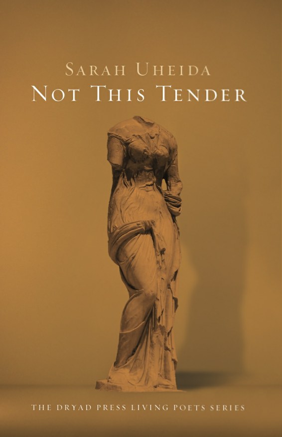 Not This Tender
