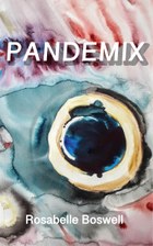 PANDEMIX