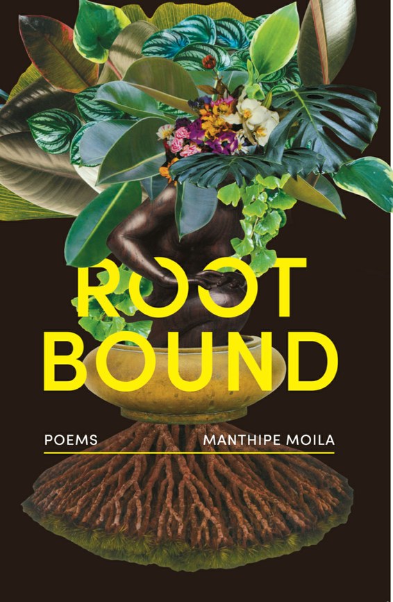 Rootbound