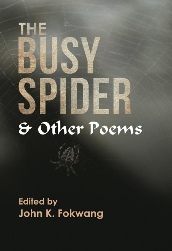 The Busy Spider and Other Poems